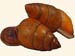 Megalomastomatidae - Hainesia crocata