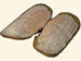 Solecurtidae - Solecurtus scopula