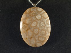Necklace with fossil coral