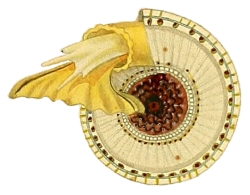 Architectonica perspectiva - Architectonidae