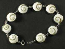 Turbo sparverius - Turbinidae