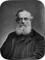 Conus blanfordianus - Conidae