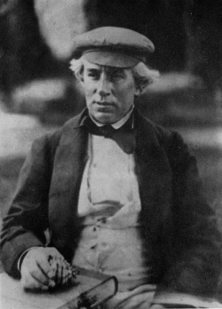 Turbo reevei - Turbinidae