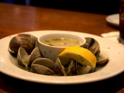 Mercenaria mercenaria - Veneridae