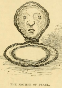 Pinctada martensii - Pteriidae