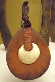 Pinctada maxima - Pteriidae