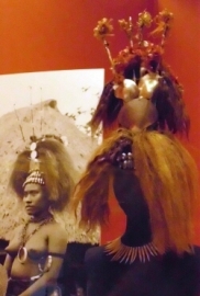 Pinctada maxima - Pteriidae