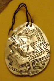 Pinctada maxima - Pteriidae