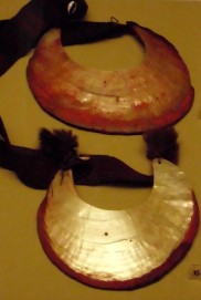 Pinctada maxima - Pteriidae