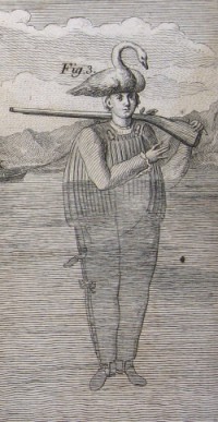 Scaphander - Scaphandridae