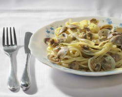 Chamelea gallina - Veneridae