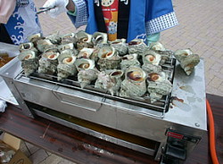 Turbo cornutus  - Turbinidae