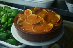 Venerupis corrugata - Veneridae