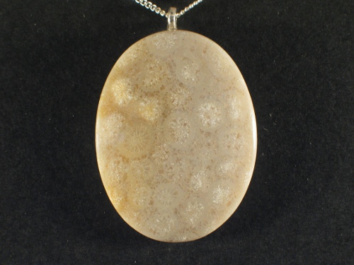 Kette mit fossiler Koralle 3x4cm