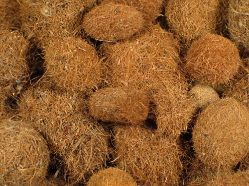 Sea balls 2-3cm (x3)