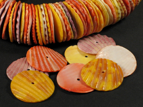 Colourful Scallop beads 2,5cm
