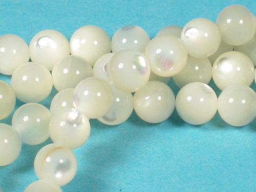 Tectus-Perlmutt-Beads wei ~0,6cm (x3)