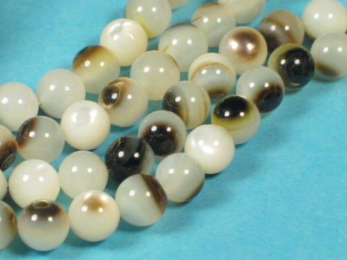 Schwarzlippen-Beads ~0,6cm (x3)