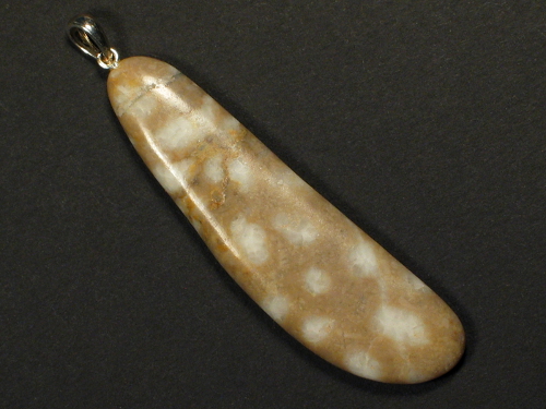 Pendant with fossil coral from the Inn valley w/silver 5,5cm