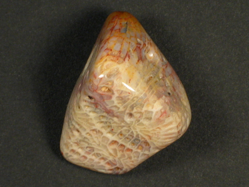 Tumbled fossil coral with drill-hole 2,9cm