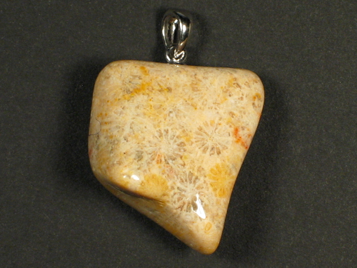 Fossil coral pendant with silver loop 2,8x2,4cm