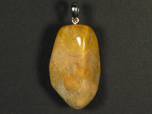 Fossil coral pendant with silver loop 3,2x2,0cm