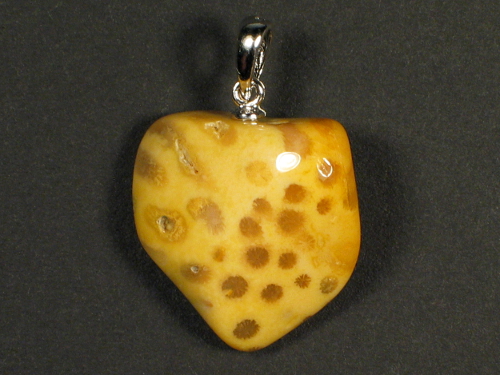 Fossil coral pendant with silver loop 2,3x2,2cm