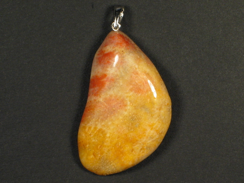 Fossil coral pendant with silver loop 4,1x2,5cm
