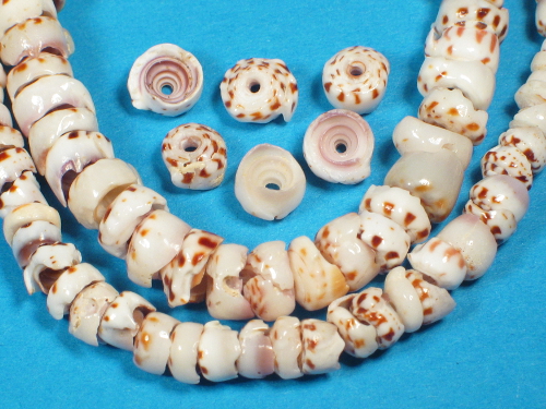 Puka shell beads 5+mm w/drillhole on mini-strand ~20cm