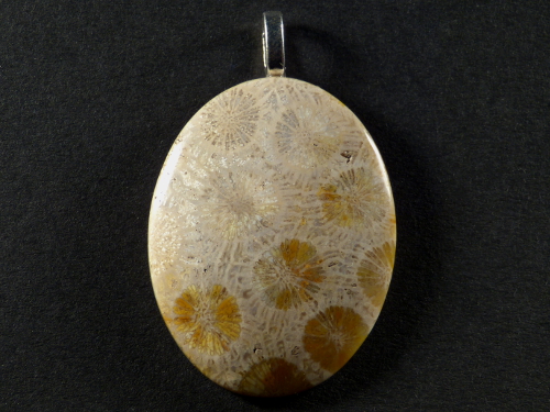 Pendant fossil coral polished oval 4,0x3,1cm