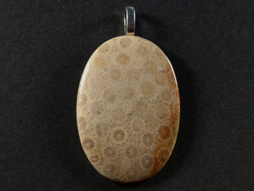 Pendant fossil coral polished oval 4,0x2,8cm