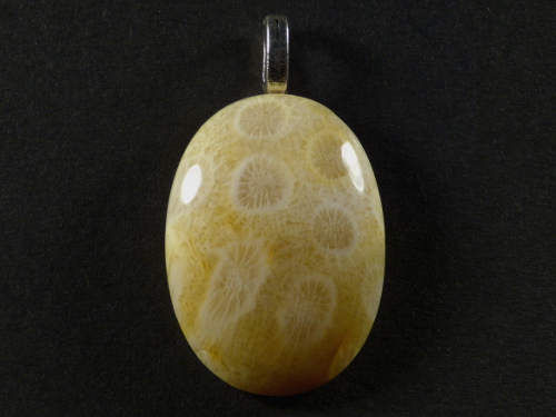 Pendant fossil coral polished oval 3,1x2,3cm
