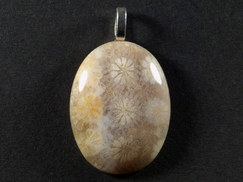 Pendant fossil coral polished oval 3,2x2,4cm