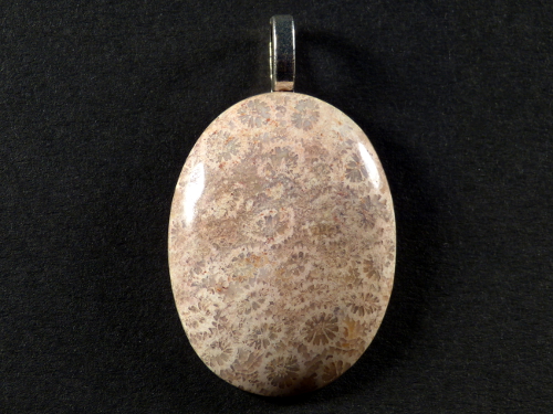 Pendant fossil coral polished oval 3,3x2,5cm
