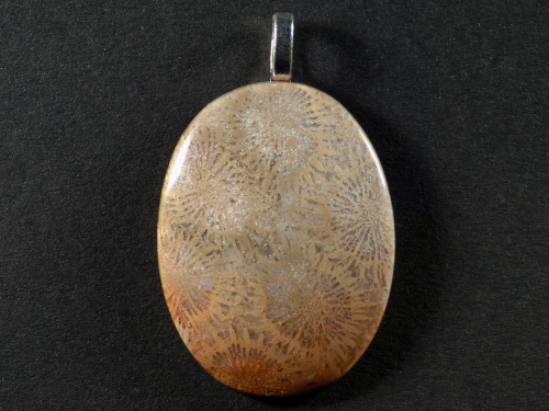 Pendant fossil coral polished oval 3,8cm
