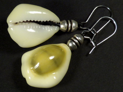 Earring pair with Money Cowry