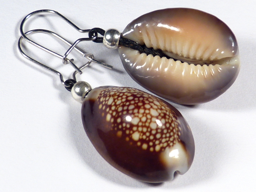Earring pair with Snakehead Cowry
