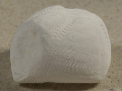 Echinocardium mediterraneum ES-Mittelmeer 4cm *Unikat*