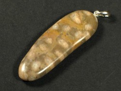 Pendant with fossil coral from the Inn valley w/silver 4,5cm