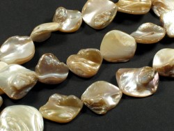 Pearl mussel tooth beads 1,5-2,1cm