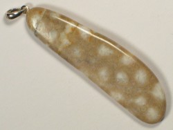 Pendant with fossil coral from the Inn valley w/silver 5,5cm