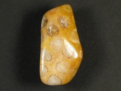 Trommelstein fossile Koralle mit Bohrung 3,5cm