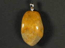Fossil coral pendant with silver loop 3,2x2,0cm