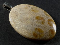 Pendant fossil coral polished oval 4,0x3,1cm