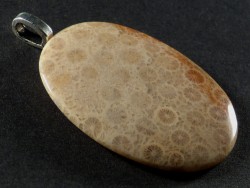 Pendant fossil coral polished oval 4,0x2,8cm