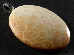 Pendant fossil coral polished oval 4,2x3,1cm