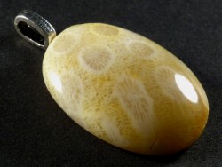 Pendant fossil coral polished oval 3,1x2,3cm