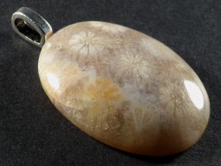 Pendant fossil coral polished oval 3,2x2,4cm