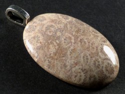Pendant fossil coral polished oval 3,3x2,5cm