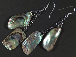 Paua earring pair